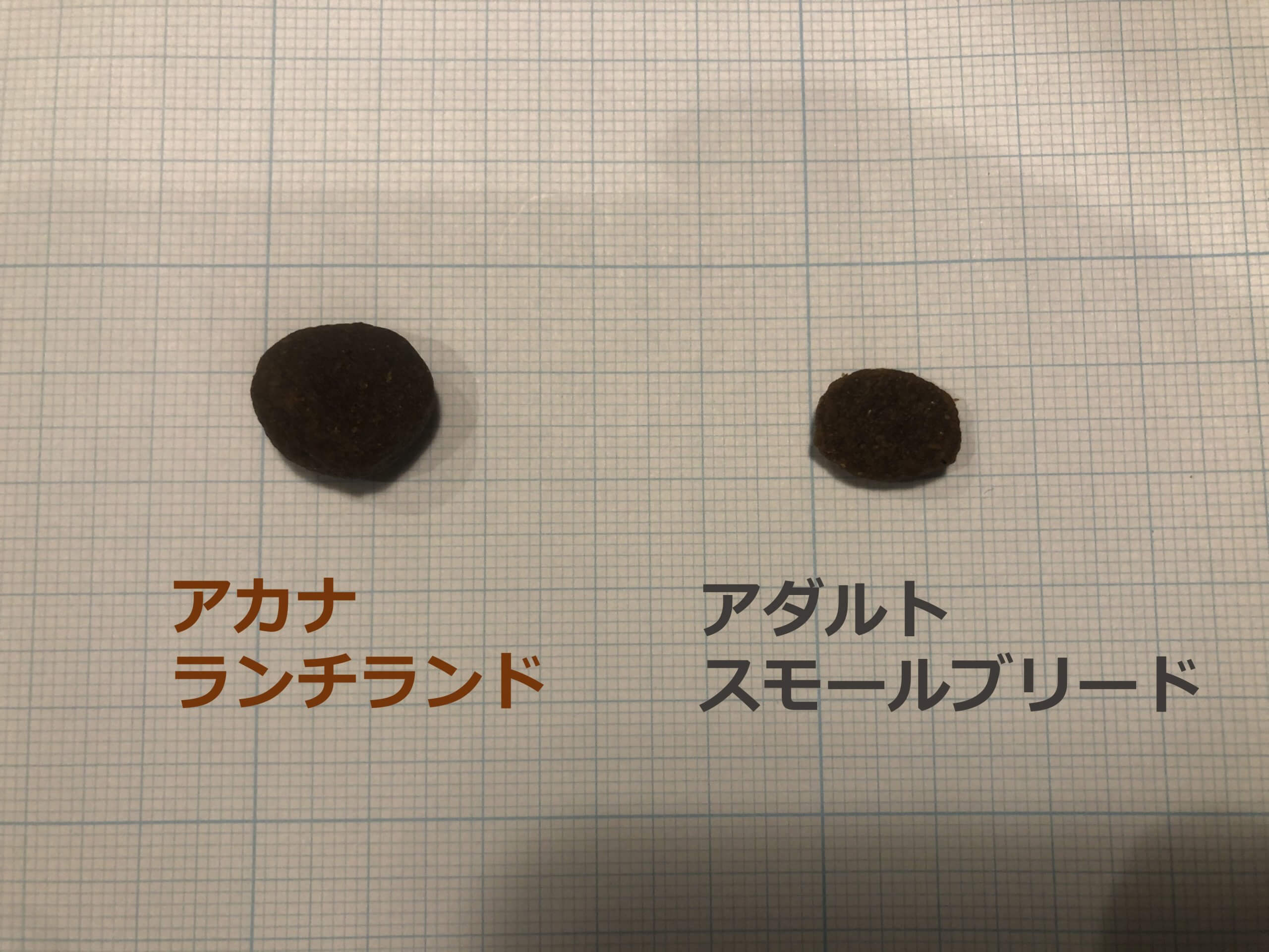 アカナランチランドとアカナアダルトスモールブリードの粒の大きさ比較