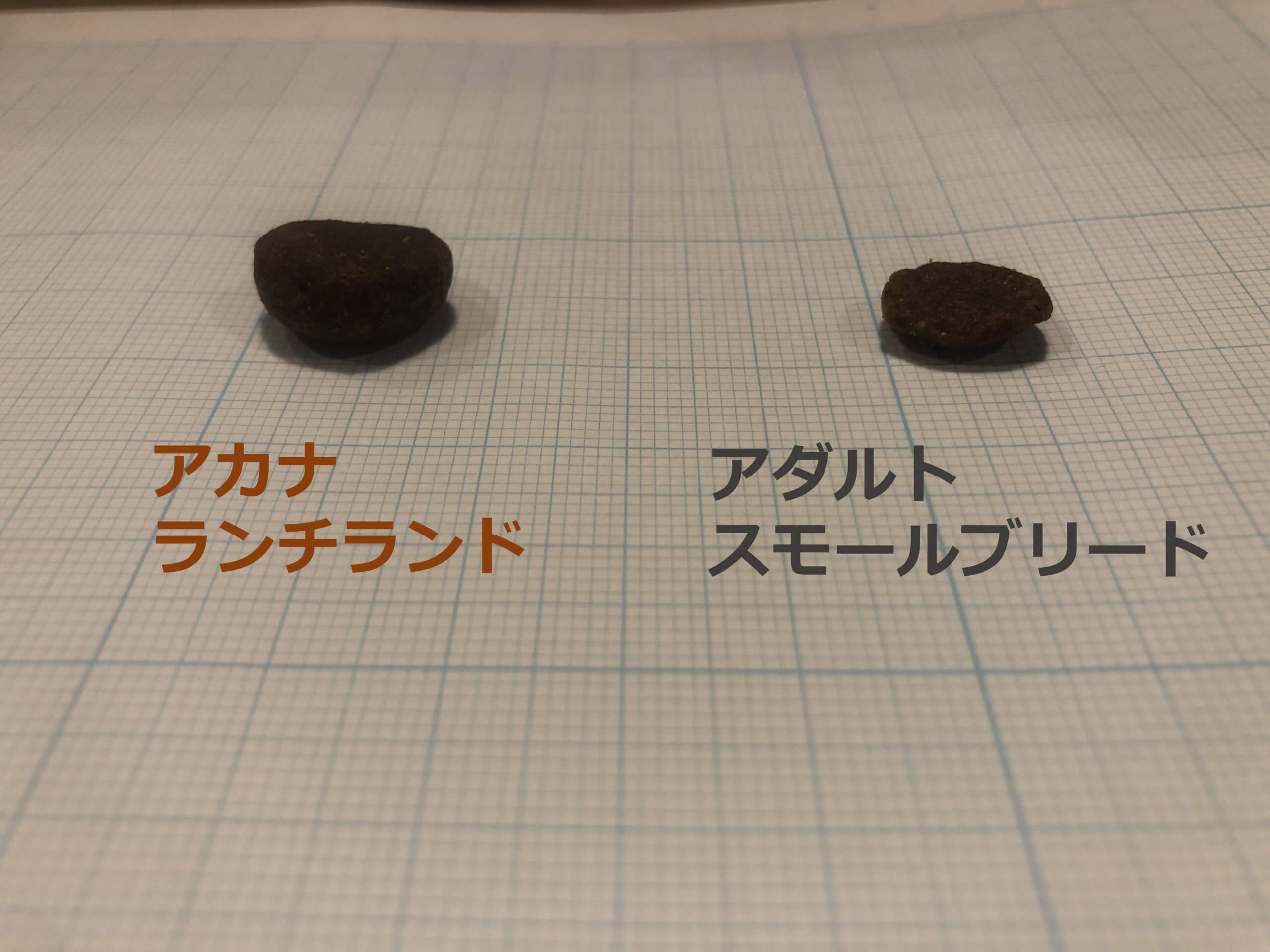 アカナランチランドとアカナアダルトドッグの粒の大きさ比較